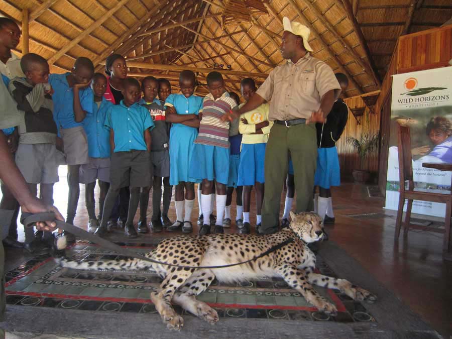 sylvester conservation edu